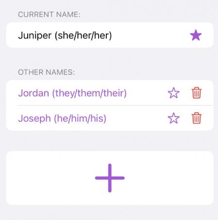 It is an easy-to-use app, in which you only have to enter the names and pronouns