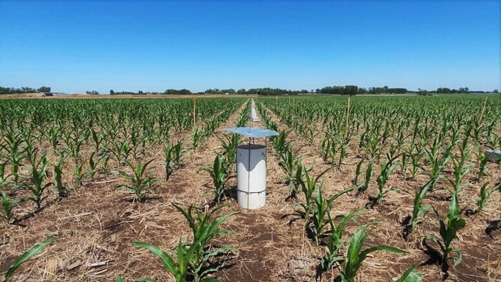 The team of researchers collected information from around 5,400 soil samples from all over the national territory.