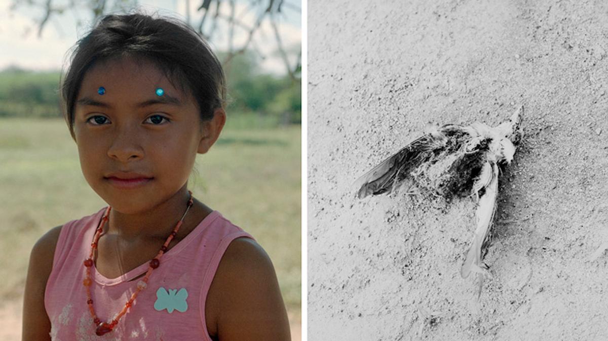 The series focuses on the Wayuus, an indigenous population of La Guajira, the coastal desert of Colombia. Photo Press