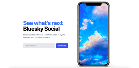 On its website, Bluesky invites you to fill out a form to access the platform