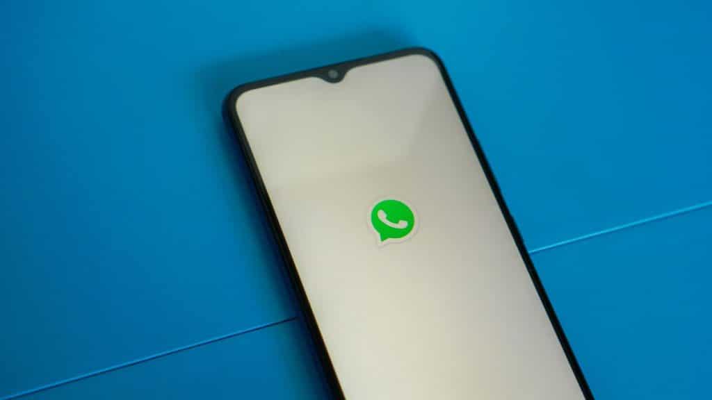 How to do surveys through WhatsApp